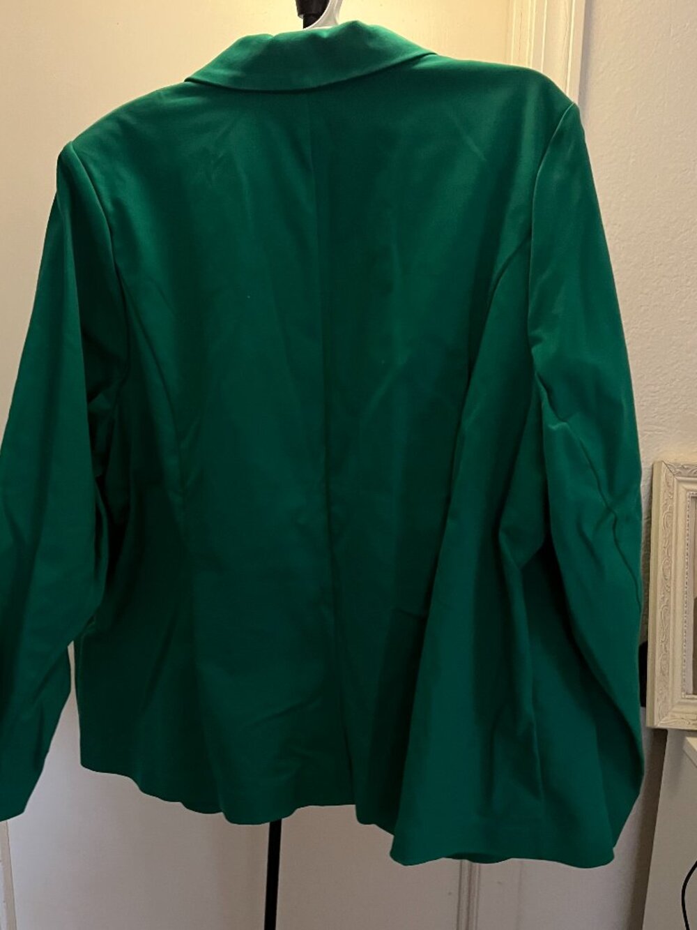 Lane Bryant Green Pant Suit.  Bundle Jacket W-28 -Slacks W26 - Picture 4 of 6